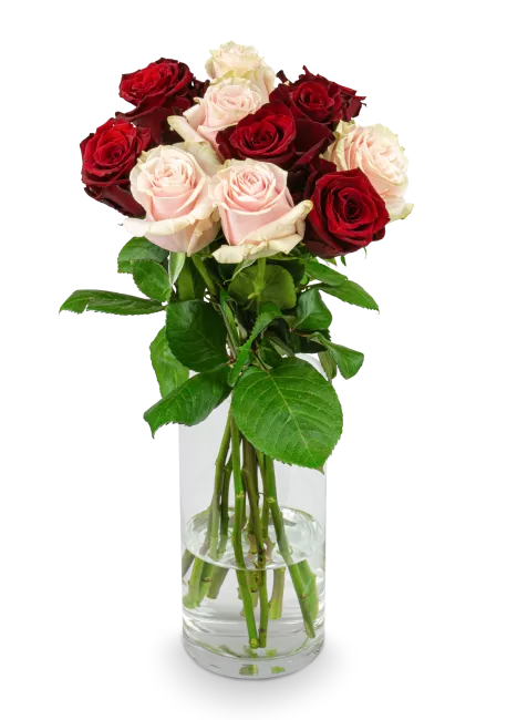 Bouquet of pink and red roses
